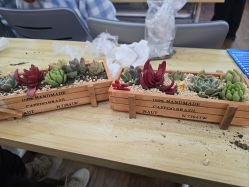 -中法母婴月子中心(南湖创始店)