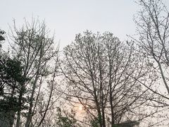 -山东建筑大学·火车餐厅7号车厢麻辣烫