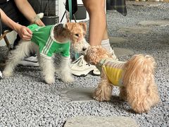 -J Create城市露营咖啡·简餐·宠物(上海动物园店)