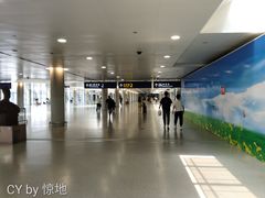 -上海浦东国际机场-T2航站楼