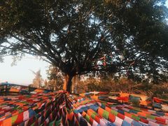 -漳州滨海火山岛自然生态风景区