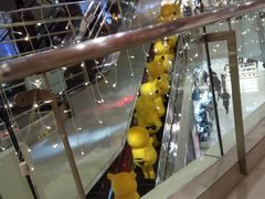 -海底捞火锅(金花路店)