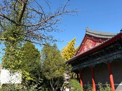 -有喜胶东小馆(太申祥和店)