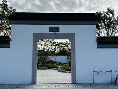 -上海滨江森林公园