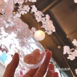 🌸夢幻熱氣球·櫻花tea set🔮