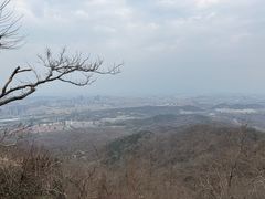 -紫金山山顶公园