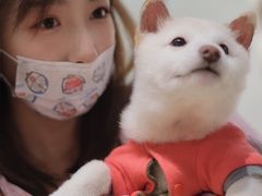 -逗柴咖啡屋·狗咖猫咖宠物桌游