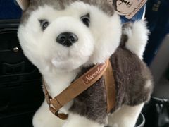 -TrueLove @ Neverland (Husky Cafe)
