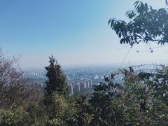 -杭州半山国家森林公园