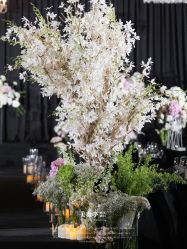 -美薇亭婚礼顾问