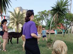 -灵玲国际马戏城