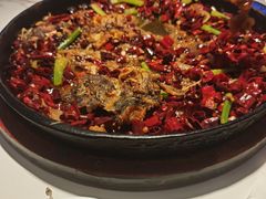 -老板恋上鱼(高新万达店)