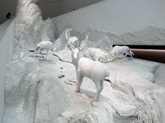 -中国湿地博物馆