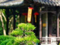 -个园