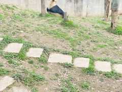 -中国大熊猫保护研究中心雅安碧峰峡基地