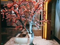 -爱乐国际温泉水疗会