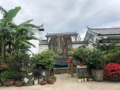 -瑞丰园庭院餐厅·白族传统家常菜