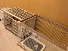 -瑞派宠物医院(搏威敦和院)