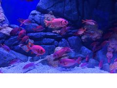 -成都浩海立方海洋公园