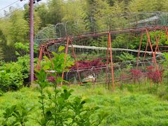 -宁波浙东大竹海景区