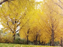 -北京植物园-展览温室