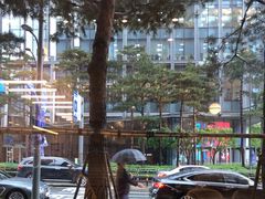 -新世界百货(明洞总店)