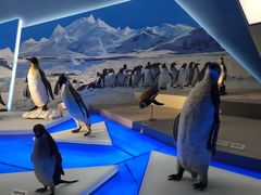 -贝林大翅鲸简餐厅(国家海洋博物馆店)