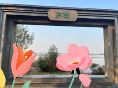 -东湖落雁景区