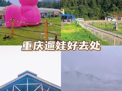 -南天湖景区