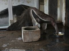 -上海野生动物园