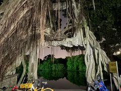 -小洲村