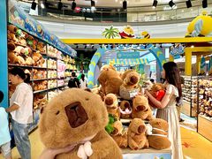 -合肥蜀山万象汇