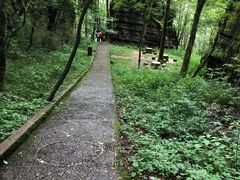 -黎坪国家森林公园