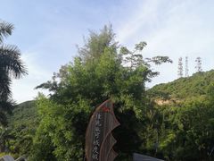 -东澳岛