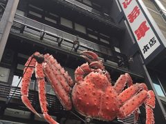 -蟹料理 北海道かに将軍(札幌本店)