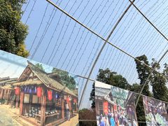 -秀丽东方