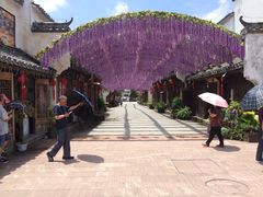 -婺源梦里老家大型山水实景演出