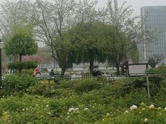 -曹州牡丹园