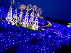 -大塘金香草谷