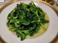 清炒豆苗-蝶园·装修中(BFC外滩金融中心店)