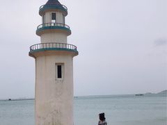 -枸杞岛
