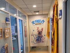 -瑞派·关忠动物医院(国瑞店)