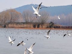 -云龙湖旅游景区