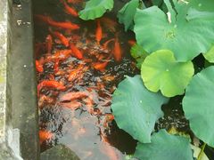 -丝绸小镇荻港古村
