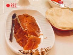 -青岛蓝海大饭店·渔歌舫(李沧店)