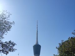 -梧桐山风景名胜区