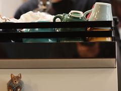 -Be Lived Cafe比例咖啡(摩天轮店)