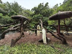 -熊猫自助餐厅.萌趣城堡(长隆熊猫酒店)