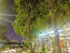 -蘇河湾·新鲁菜·泰山宴(泰山店)