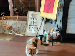 -猫岛主趣味餐厅(鼓浪屿店)